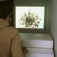 Exhibit Design