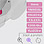 Organelle Cell Cycle