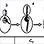 Organelle Cell Cycle